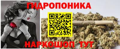 крисы Братск