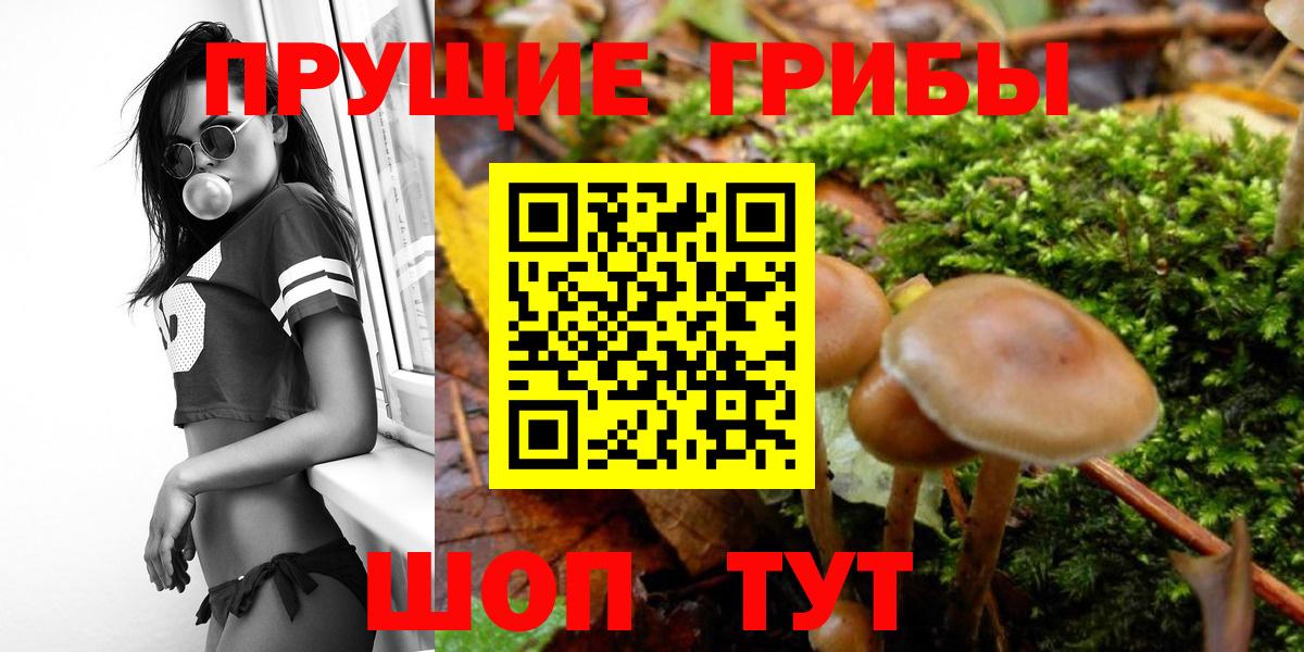 Псилоцибиновые грибы MAGIC MUSHROOMS  Вход с VPN  Галлюциногенные грибы Psilocybine cubensis  Артёмовский 